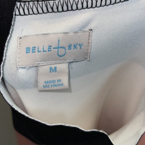 Belle Sky Is The Limit Scuba Mock Turtleneck Midi Striped Dress Size M - Picture 10 of 12